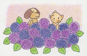 犬猫と紫陽花のイラスト