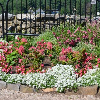 花壇のレイアウト 花の配置まとめ 綺麗な花壇のデザイン例