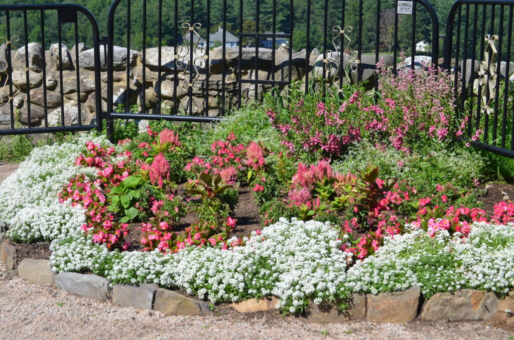 花壇のレイアウト 花の配置まとめ 綺麗な花壇のデザイン例