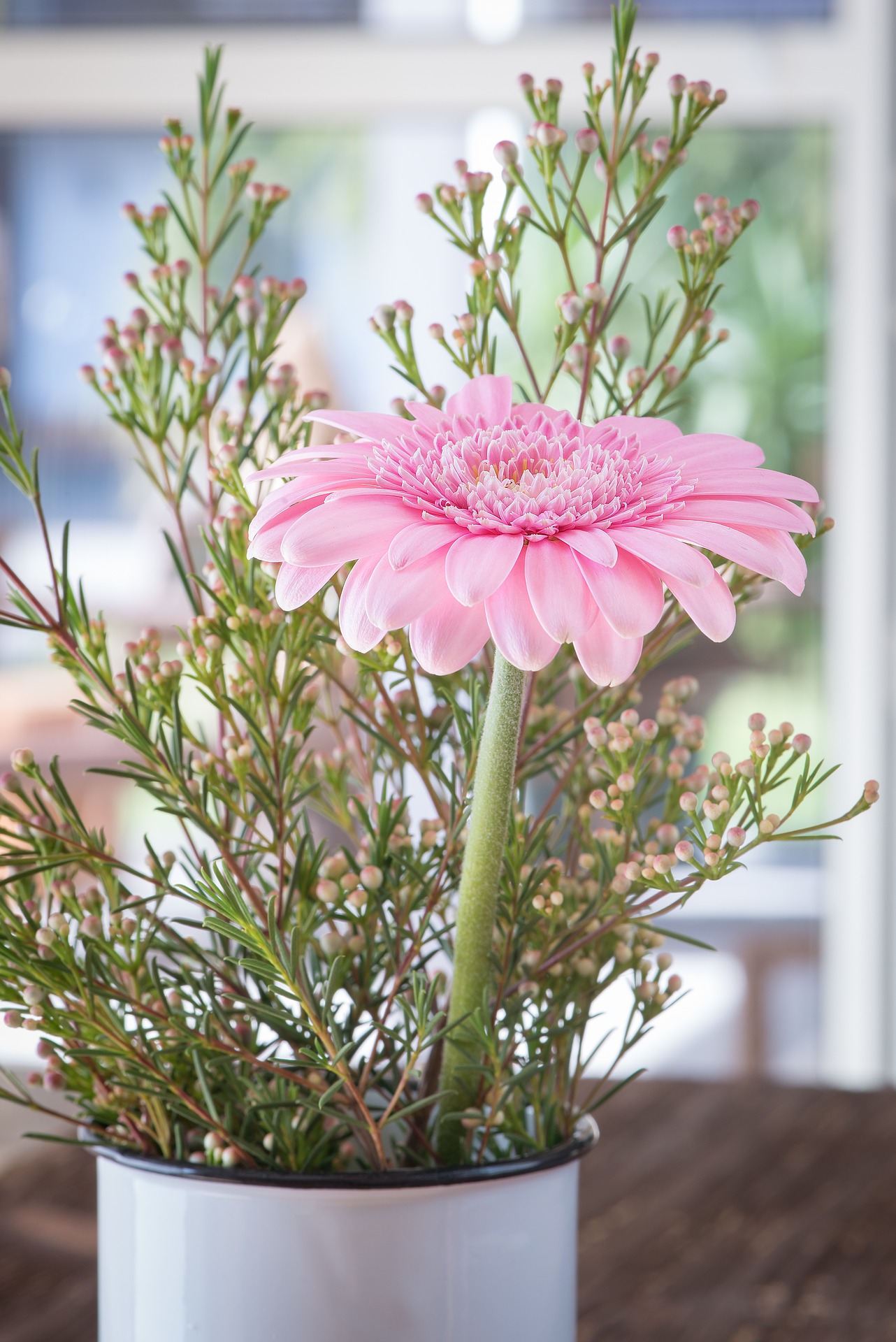 ガーベラの花言葉 ピンクやオレンジの色別の意味と由来は Flovia