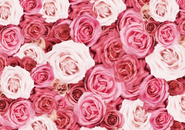 バラの種類 品種一覧 人気のバラの名前や色 特徴は Flovia